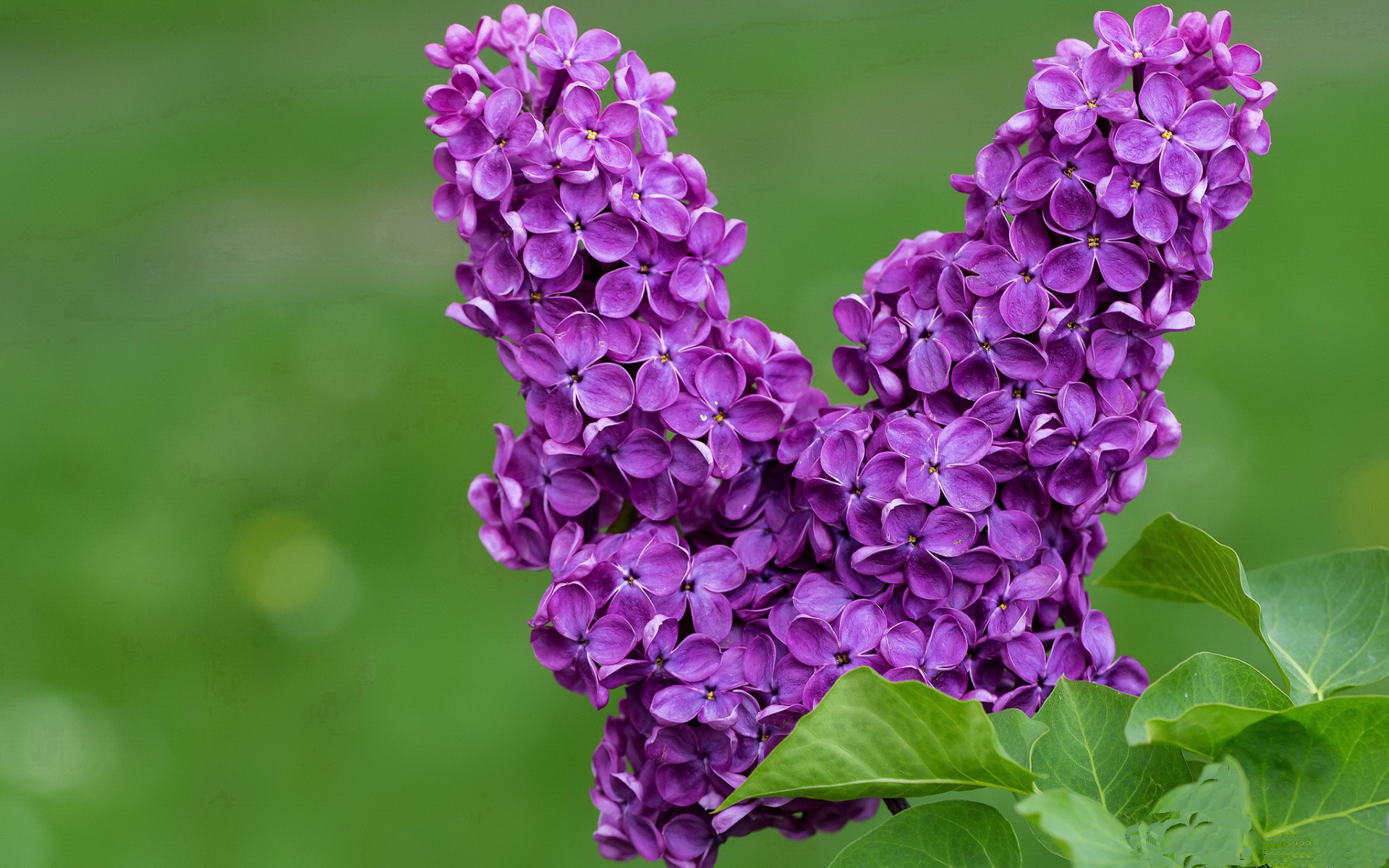 开云体育下载-中立B选手该项目划频波动降低