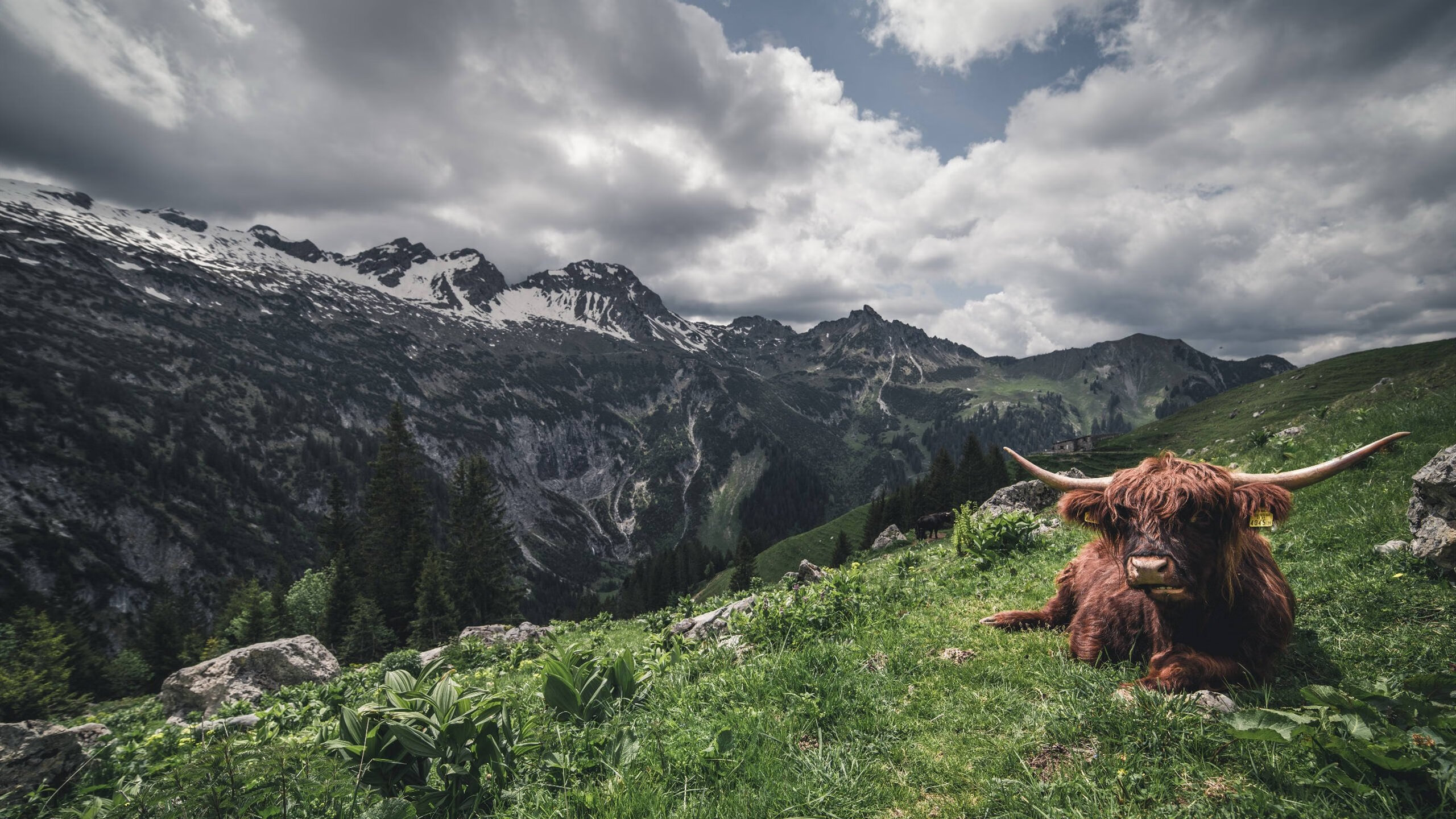 开云体育官网-体育新闻中心深化体育音视频资产全链路管理机制