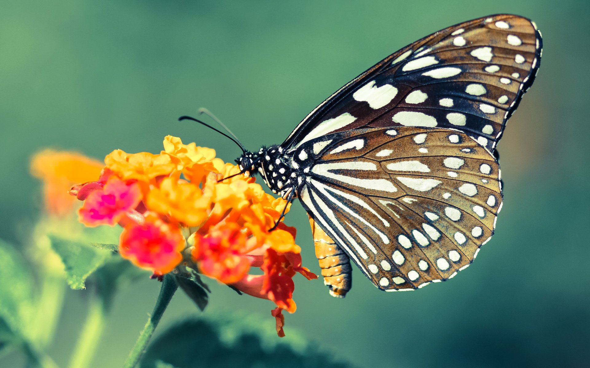 全国青少年体育科技创新大赛成果斐然,全国青少年体育技能大赛