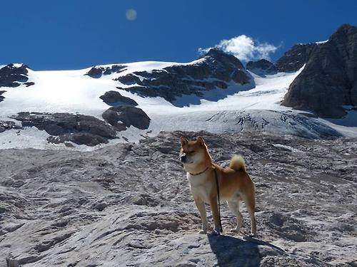 开云体育登录入口-技术细节提升带动整体进步，技术提升从哪几方面写