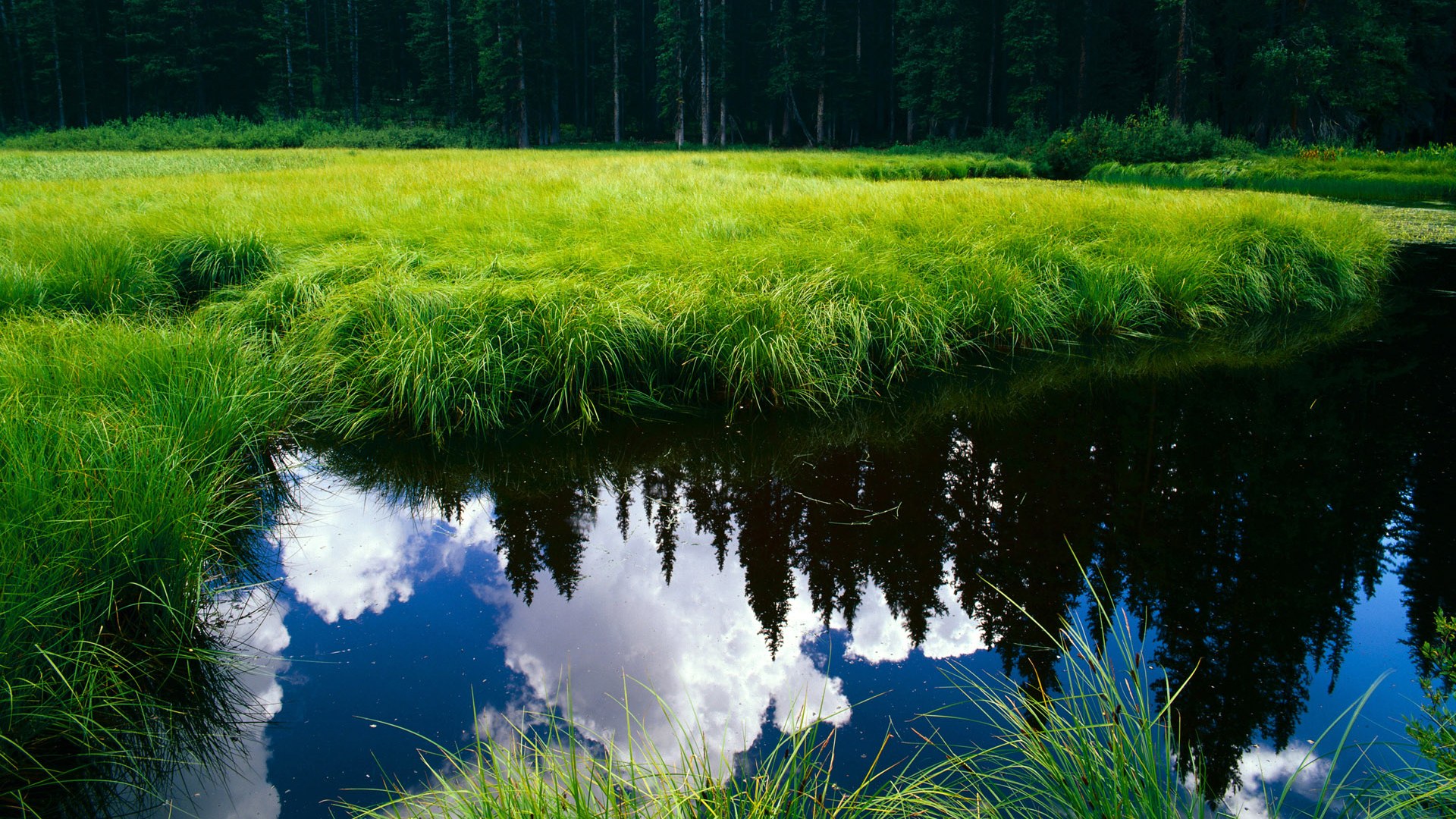 新赛季球队战术调整频繁，新赛季球队战术调整频繁的原因