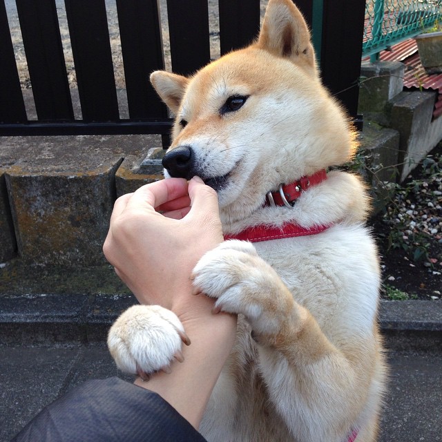 开云体育登录-世界杯赛事中的环境保护倡议，世界杯环保日是每年几月几日