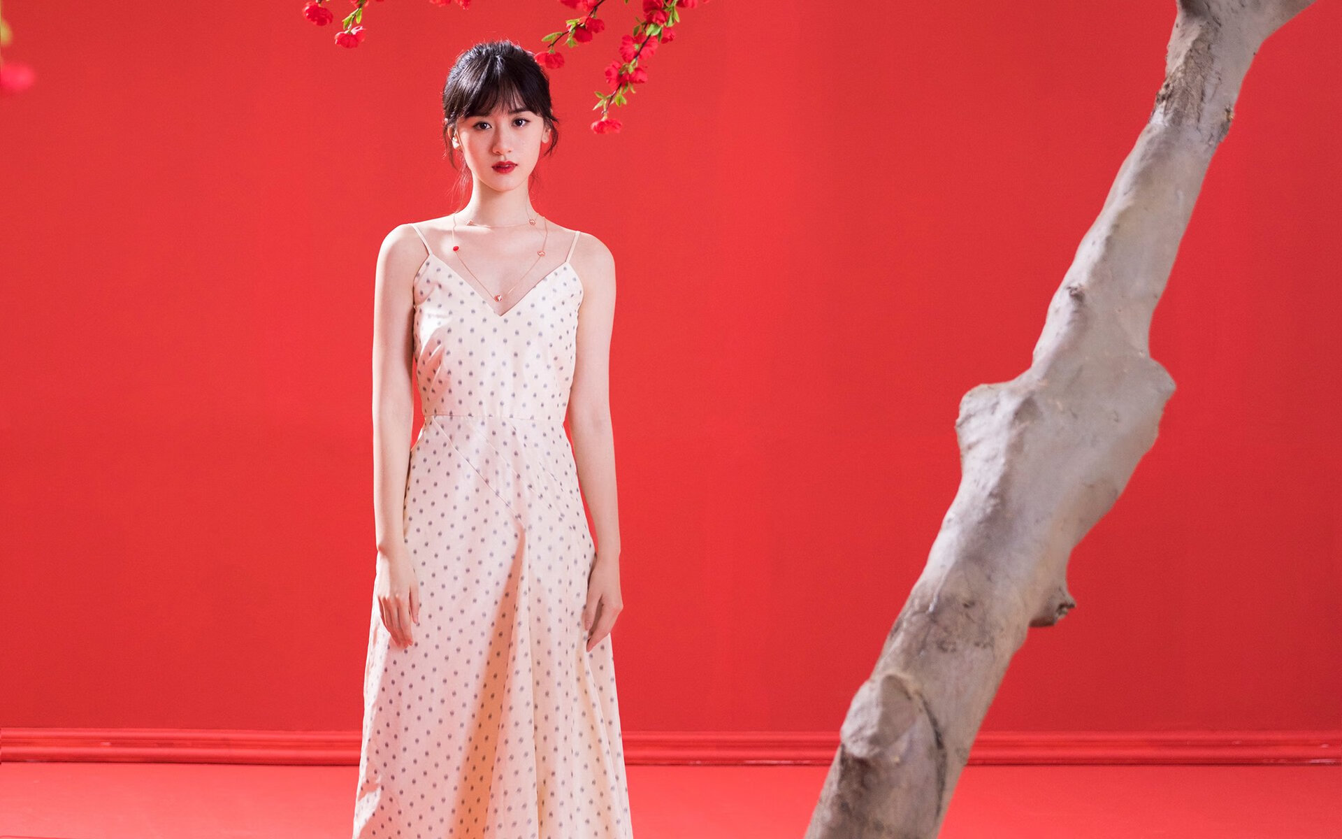 字母哥带队逆转雄鹿晋级季后赛,字母哥雄鹿报道视频