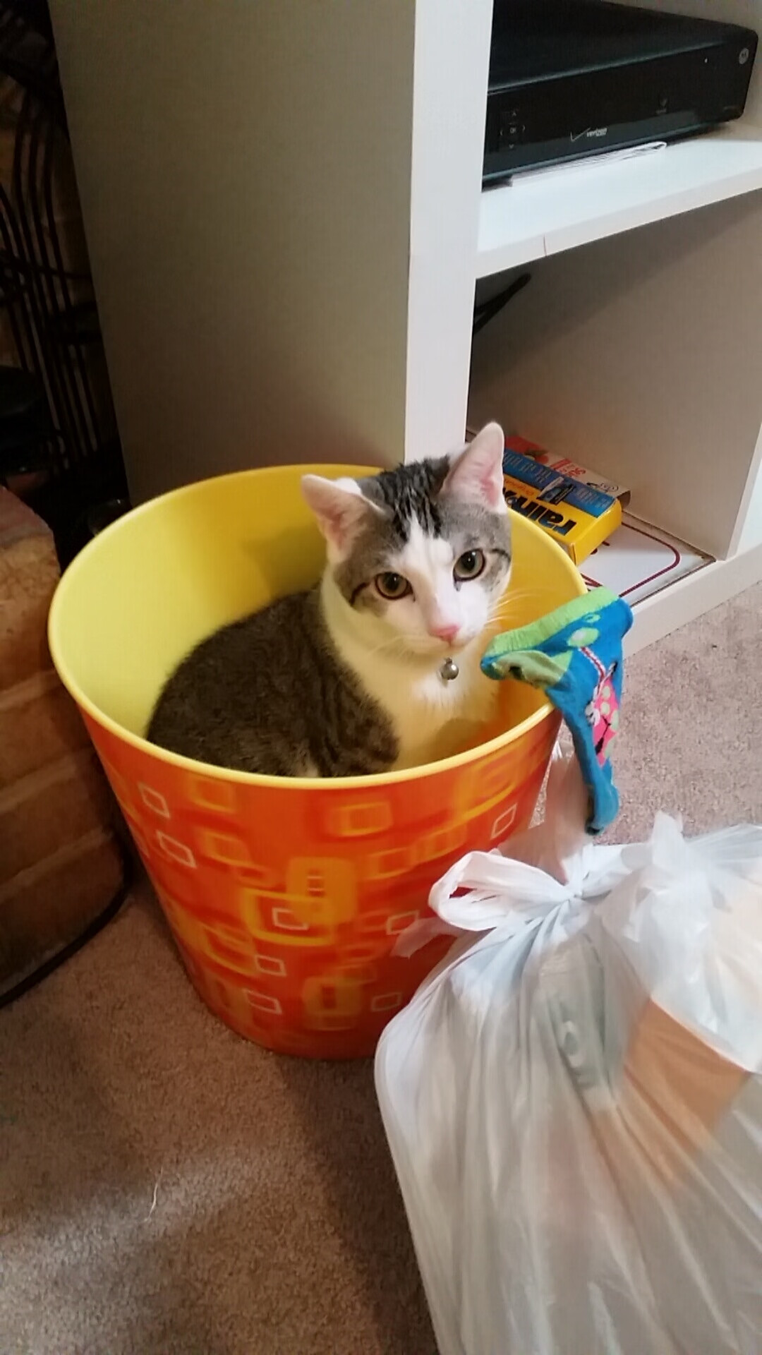 kaiyun网址-尼尔·巴特尔的防守技术日趋成熟，为袋鼠队带来稳定表现，巴特尔防守奥尼尔视频