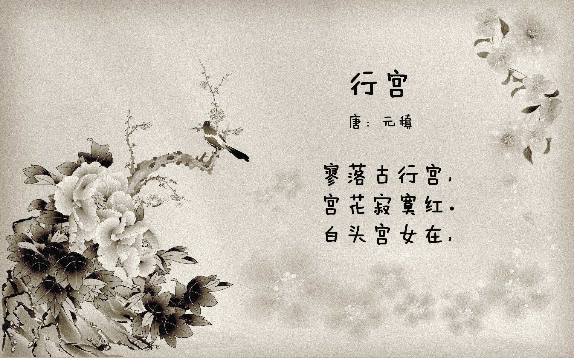 湖人战术演练曝光大量新战法,nba湖人战术