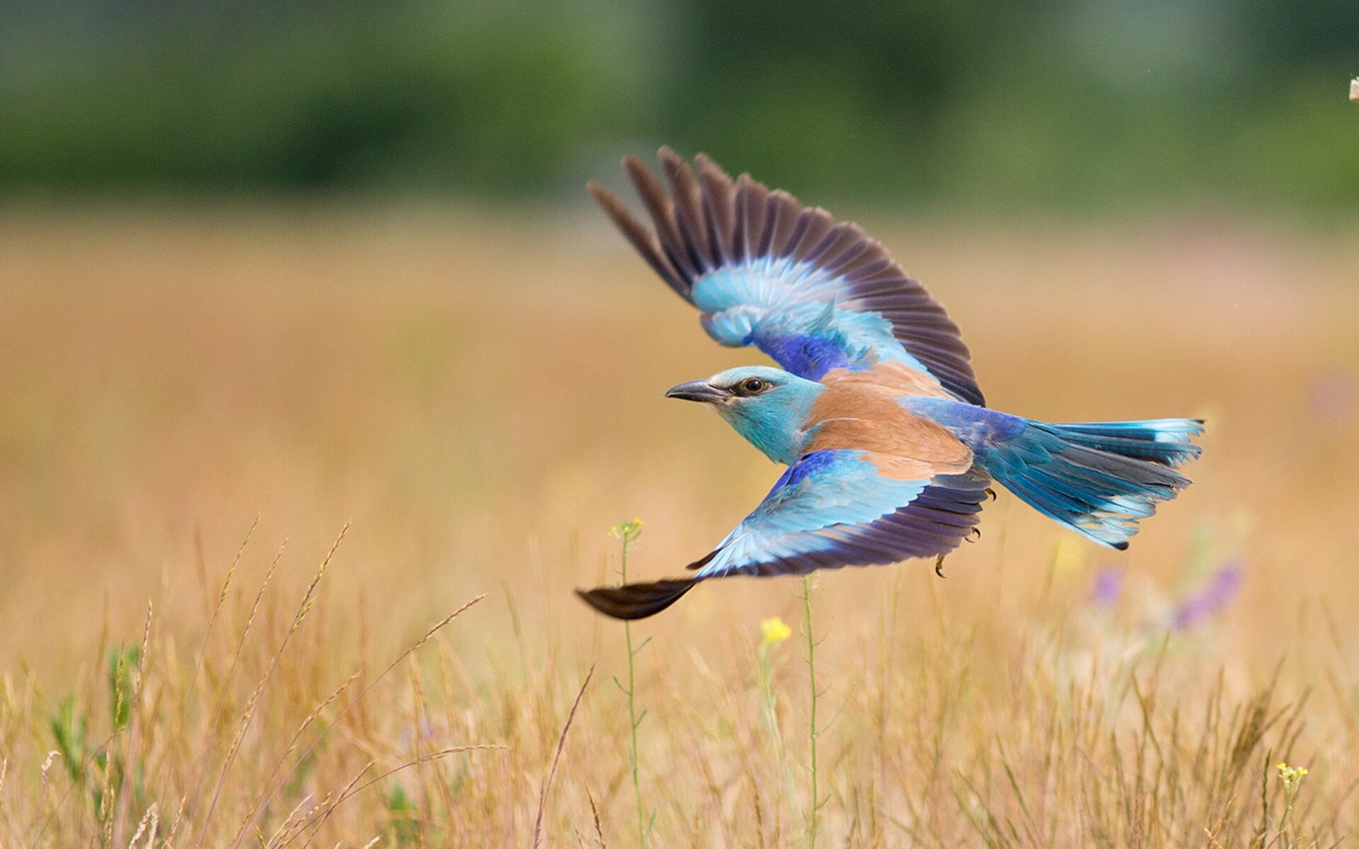 kaiyun开云体育-球员家庭背景故事登上杂志封面，人物性格更立体，nba家庭背景最好的球员