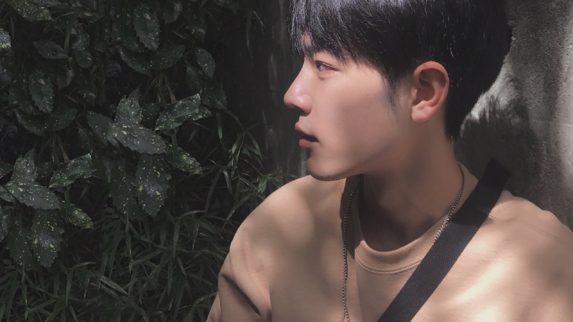 开云体育-美洲杯明星闪耀：突破极限，激情无限！，美洲杯原名