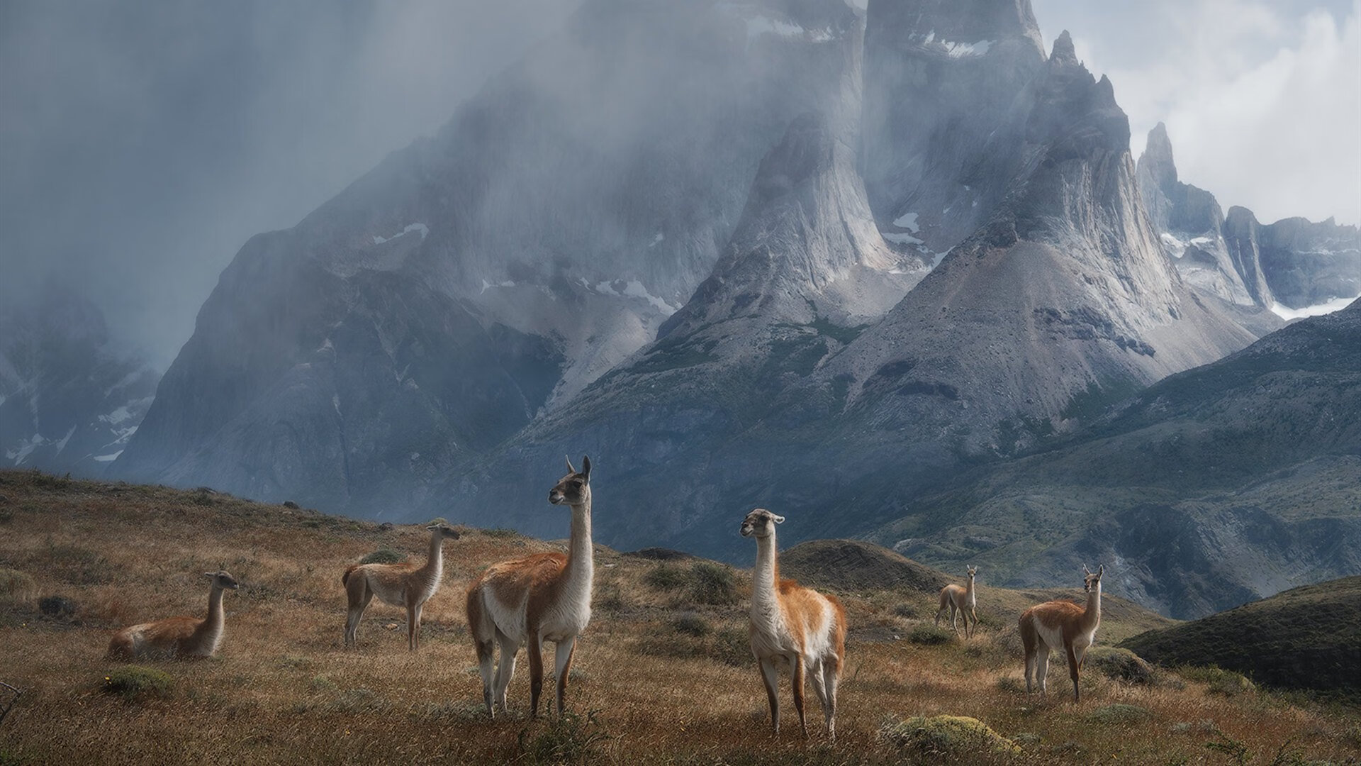 羽毛球青少年比赛规模创历史新高,青少年羽毛球比赛年龄划分